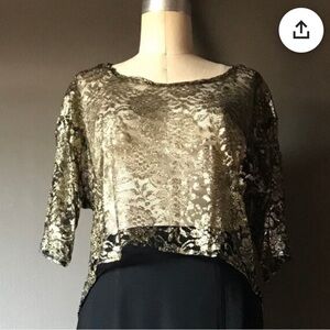 Stoplight Vintage 80s Lace Crop Fish Tail Top / Hi Lo Blouse /